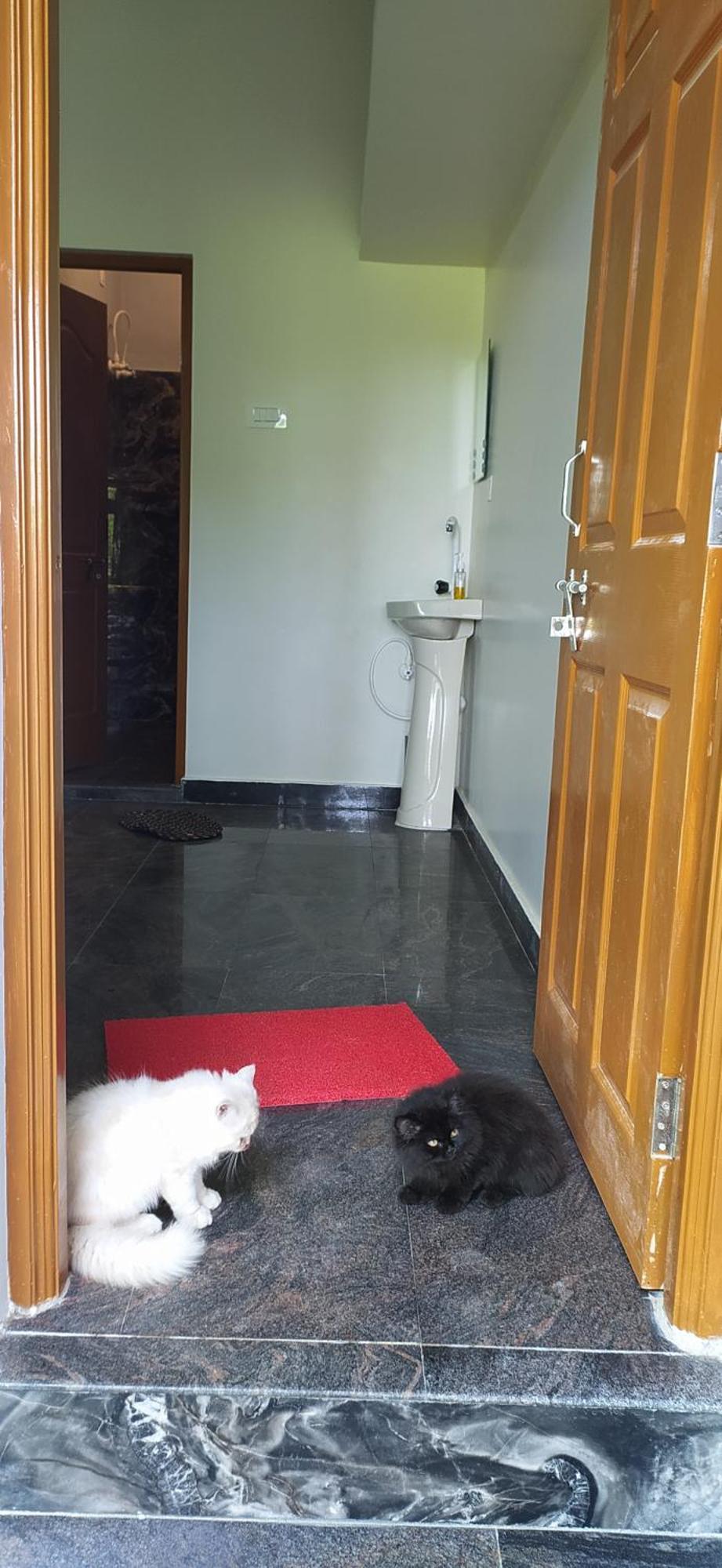Ratnakar Arundekar Home Stay In Beach Side Ac Room Gokarna  Kültér fotó